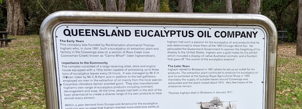 A world awash in eucalyptus oil